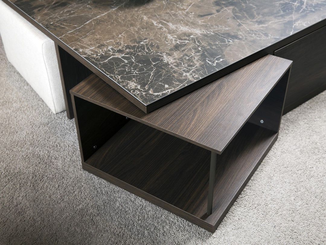 Gravid Coffee Table