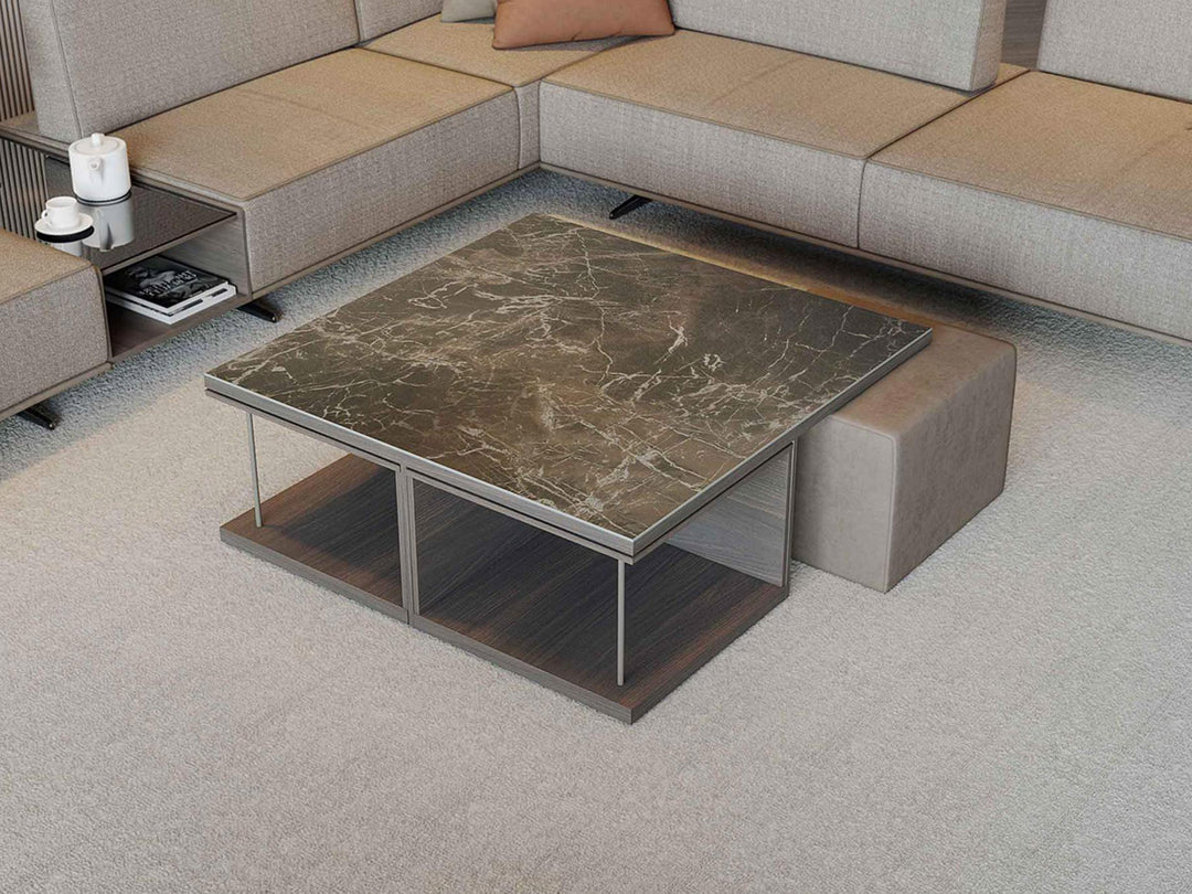 Gravid Coffee Table