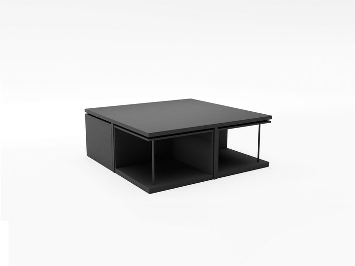 Gravid Coffee Table