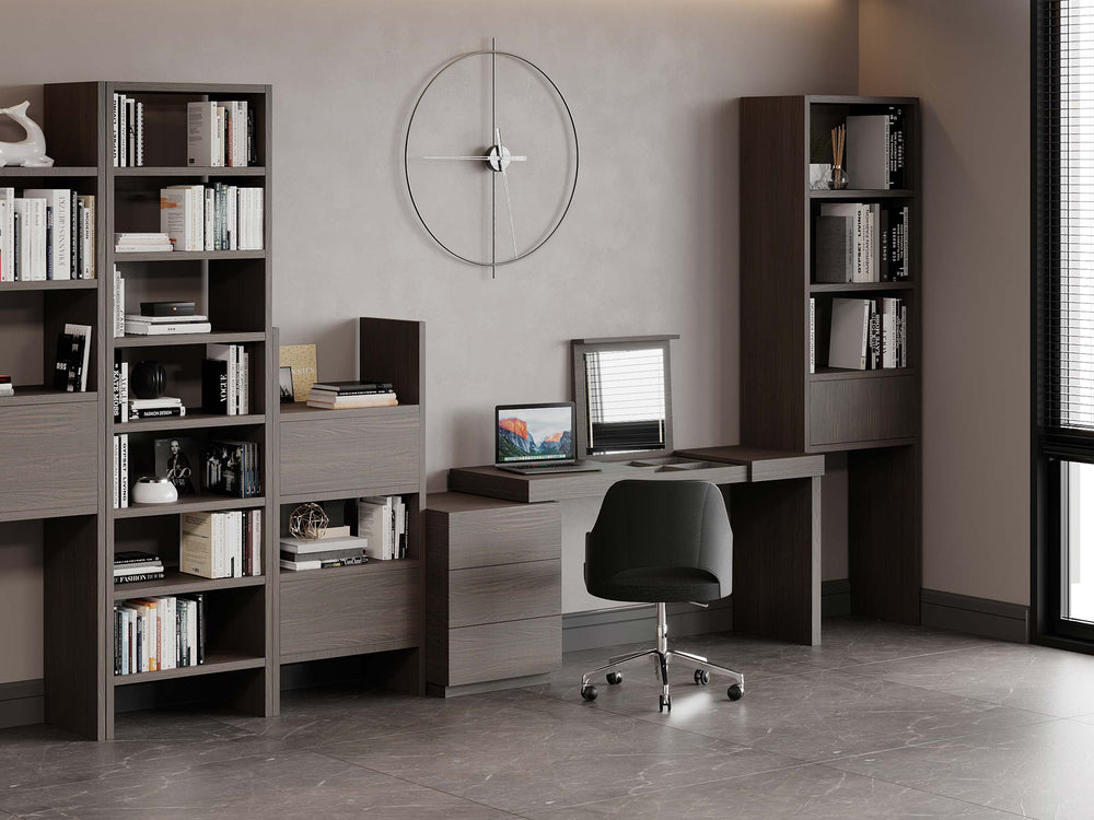 Home Office Concept 1