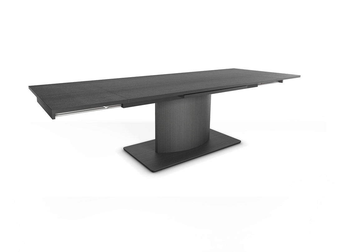 Raena Extendable Wood Table